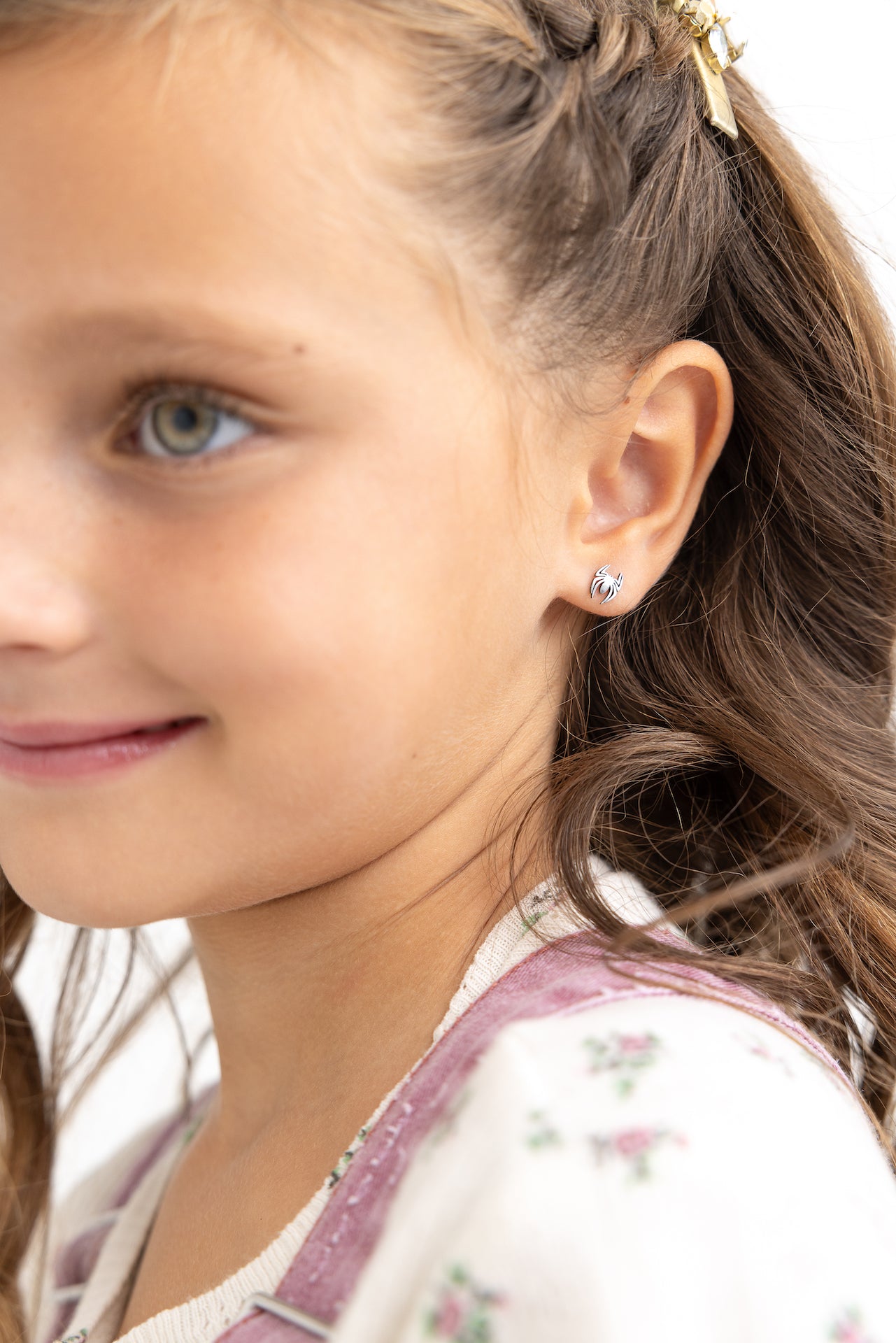 Spider and Web (small)